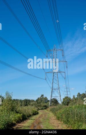 Hochspannungsleitungen mit Pylonen über einem blauen Himmel an einem sonnigen Tag Stockfoto