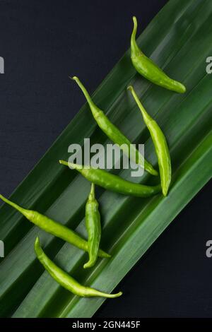 Grüne Chilischoten auf frisch duftenden Pandanblättern, Nahaufnahme von oben Stockfoto