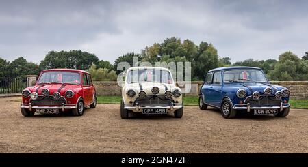 Classic Austin Mini Cooper S's, Italien Job Replicas, Concours of Elegance 2021, Hampton Court Palace, London, Großbritannien Stockfoto