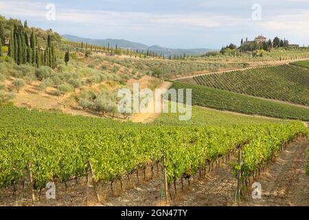 LANDSCHAFTEN DER CHIANTI-REGION,TOSKANA,ITALIEN Stockfoto