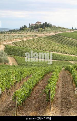 LANDSCHAFTEN DER CHIANTI-REGION,TOSKANA,ITALIEN Stockfoto