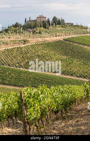 LANDSCHAFTEN DER CHIANTI-REGION,TOSKANA,ITALIEN Stockfoto