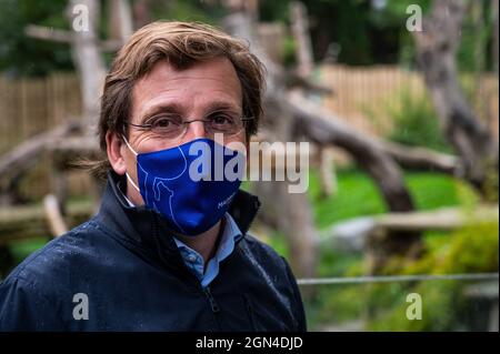 Madrid, Spanien. September 2021. Der Bürgermeister von Madrid, Jose Luis Martinez-Almeida, im Aquarium des Madrider Zoos während eines Besuchs, um die neuen Pandajungen zu treffen, die kürzlich geboren wurden, beherbergt der Zoo die zweite Zwillingsgeburt von Pandas in seiner Geschichte. Quelle: Marcos del Mazo/Alamy Live News Stockfoto