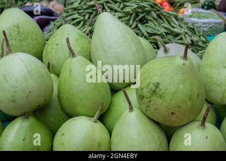 Calabash, Flaschenkürz oder Weißblütenkürbis, Lagenaria siceraria, ist eine Rebe, die für ihre Früchte angebaut wird. Gemüse zum Verkauf auf einem Markt in Territy Bazar, Stockfoto