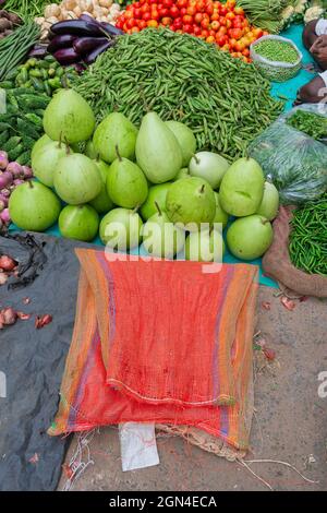 Calabash, Flaschenkürz oder Weißblütenkürbis, Lagenaria siceraria, ist eine Rebe, die für ihre Früchte angebaut wird. Gemüse zum Verkauf auf einem Markt in Territy Bazar, Stockfoto