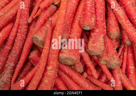 Karotte, Daucus carota , ist ein Wurzelgemüse, meist orange gefärbt, eine domestizierte Form der wilden Karotte. Gemüse zum Verkauf auf einem Markt in Terr Stockfoto