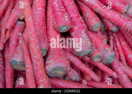 Karotte, Daucus carota , ist ein Wurzelgemüse, meist orange gefärbt, eine domestizierte Form der wilden Karotte. Gemüse zum Verkauf auf einem Markt in Terr Stockfoto