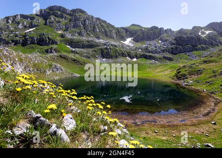 Wunderschöner alpiner Manito-See mit Blumen in der Nähe des Kapetanovo-Sees in den Moraca-Bergen, Kapitänssee in den Bergen hoch über Niksic Town, Montenegro Stockfoto