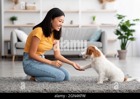 Positive asiatische Frau trainiert ihren Hund, Pfote zu geben Stockfoto