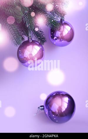 Glänzende Weihnachtskugel, die auf Kiefernästen mit festlichem Hintergrund hängt. Feiertag. Stockfoto
