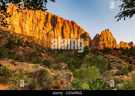 Das Licht des Abends färbt den Wächter im Zion National Park Stockfoto