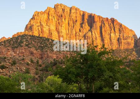 Das Licht des Abends färbt den Wächter im Zion National Park Stockfoto