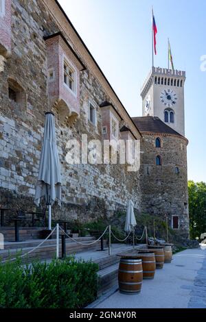 Ljubljana Castle Detail in Slowenien Stockfoto