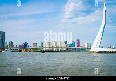 Blick über den Maas-Fluss in Rotterdam durch Kabelbrücken der Erasmus-Brücke zur kommerziellen Skyline und den Gebäuden in den Niederlanden. Stockfoto