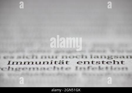 Nahaufnahme der deutschen Wörter 'Immunität entsteht', was 'Immunität entwickelt' bedeutet, mit verschwommenem Text im Hintergrund und im Vordergrund Stockfoto