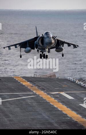 Pazifischer Ozean, Auf See. 08. Dezember 2020. Ein US Marine Corps AV-8B Harrier Kampfflugzeug, das an Marine Attack Squadron 214 befestigt ist, landet auf dem Flugdeck des amphibischen Sturmschiffs USS Essex der Wasp-Klasse am 8. Dezember 2020 im Pazifischen Ozean. Kredit: MC2 Jenna Dobson/U.S. Navy/Alamy Live News Stockfoto