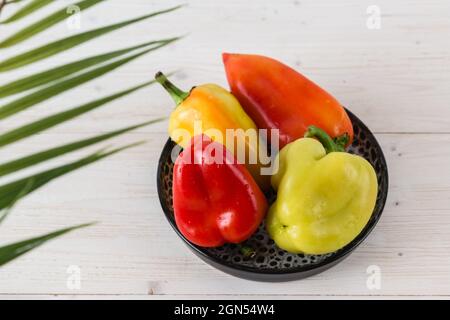 Vier große, frische, bunte Paprika liegen auf einem dunklen runden Teller auf einem weißen Holztisch. Draufsicht durch Palmblätter Stockfoto