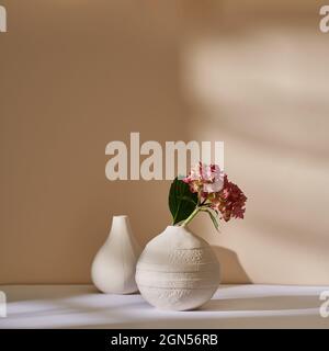 Rosa Hortensien in einer weißen Keramikvase an einer beigen Wand Stockfoto