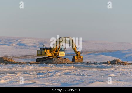 Gelber Bagger belädt in den Dumper. Die Straßenbauarbeiten. Stockfoto