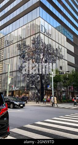 Tokio, Japan - 19. November 2019: Dior-Ladenschild im Ginza-Viertel in Tokio, Japan. Stockfoto