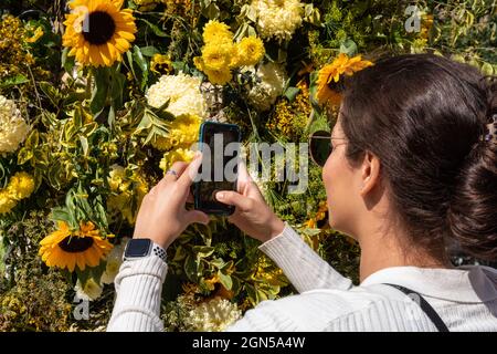 London, Großbritannien. September 2021. Eine Frau macht Fotos von der lebhaften Ausstellung von gelben Blumen im MOSCOT an der Kings Road. Chelsea in Bloom ist ein jährliches Festival und Wettbewerb mit Blumen- und Pflanzenausstellungen der teilnehmenden Geschäfte, Restaurants und anderer Unternehmen in Chelsea, das dieses Jahr vom 20. Bis 25. September stattfindet. Kredit: Imageplotter/Alamy Live Nachrichten Stockfoto