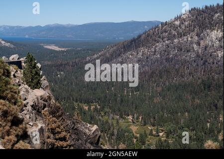 Orland, CA, USA. September 2021. Nach dem Caldor-Brand, der am 20. September 2021 im El Dorado County durch das Christmas Valley in der Nähe des Lake Tahoe brannte, bleiben verbrannte und nicht verbrannte Bäume erhalten. (Bild: © Paul Kitagaki Jr./ZUMA Press Wire) Stockfoto