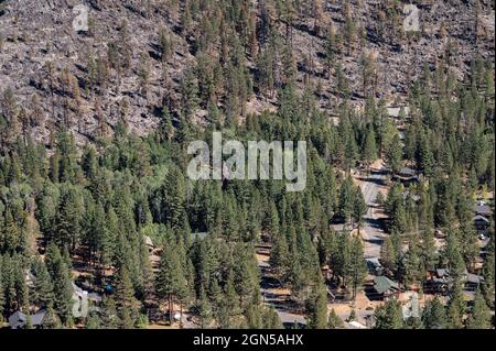 Orland, CA, USA. September 2021. Nach dem Caldor-Brand, der am 20. September 2021 im El Dorado County durch das Christmas Valley in der Nähe des Lake Tahoe brannte, bleiben verbrannte und nicht verbrannte Bäume erhalten. (Bild: © Paul Kitagaki Jr./ZUMA Press Wire) Stockfoto