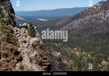 Orland, CA, USA. September 2021. Nach dem Caldor-Brand, der am 20. September 2021 im El Dorado County durch das Christmas Valley in der Nähe des Lake Tahoe brannte, bleiben verbrannte und nicht verbrannte Bäume erhalten. (Bild: © Paul Kitagaki Jr./ZUMA Press Wire) Stockfoto