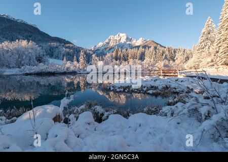 Kalter Wintermorgen am Zelenci-See in Kranjska Gora, Slowenien. Stockfoto