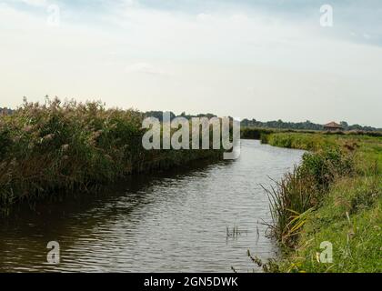 Landwirtschaft Ackerland Landschaft in Petten (Niederlande) Stockfoto