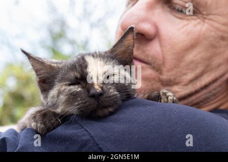 Ein Kätzchen mit einem Streifen auf der Nase schläft auf der Schulter eines erwachsenen Mannes. Liebe für Haustiere. Stockfoto