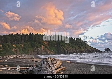 Sunset and Driftwood - im Quileute Oceanside Resort in La Push, Washington, mit Blick nach Süden am Ufer entlang bei Sonnenuntergang. Stockfoto