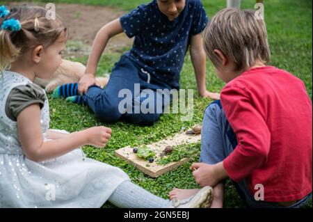 Drei Kinder, Geschwister, sitzen auf einem grünen Gras und beobachten und erforschen zwei Schnecken, die auf einem Holzschreibtisch kriechen. Stockfoto