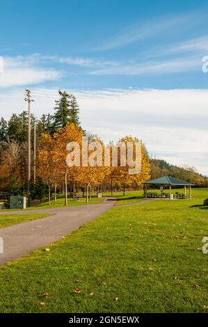 Kiosk oder Pavillon in Petrovitsky Park, Renton, Washington. Stockfoto