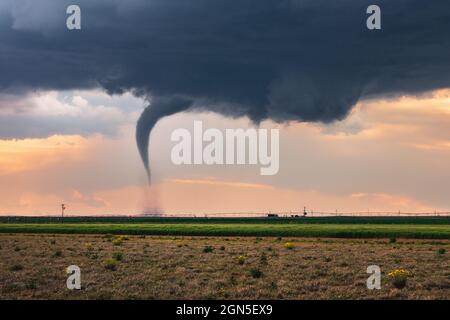 Supercell Tornado dramatische Wandwolke wirft während eines Sturms in der Nähe des Sudan, Texas, USA, Staub auf ein Feld Stockfoto