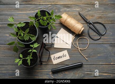 Zusammensetzung mit Pflanzen Sämlinge in Töpfen auf dunklem Holzhintergrund Stockfoto