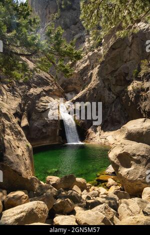 Blick auf die Roaring River Falls im Kings Canyon National Park, Kalifornien, USA Stockfoto