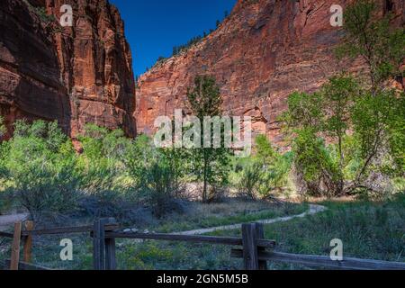 Der Virgin River fließt durch den Zion National Park, und die Farben des Sonnenuntergangs färben die Wände der Schlucht Stockfoto