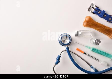 Hintergrund mit Spritze, Fläschchen und Stethoskop auf weißem Tisch mit Hundeprodukten. Draufsicht. Horizontale Zusammensetzung. Stockfoto