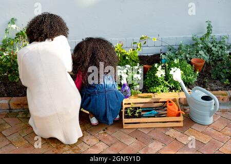 Rückansicht der afroamerikanischen Mutter und Tochter, die Blumen Pflanzen Stockfoto