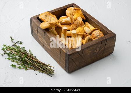 Cantharellus cibarius, allgemein bekannt als die Pfifferlinge Set, in Holzkachtel Container, auf weißem Stein Tisch Hintergrund Stockfoto