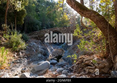 Die mittelalterliche venezianische Brücke Elia, die den Diarizos-Fluss im Pafos-Wald, Limassol-Bezirk, Zypern, überspannt. Stockfoto