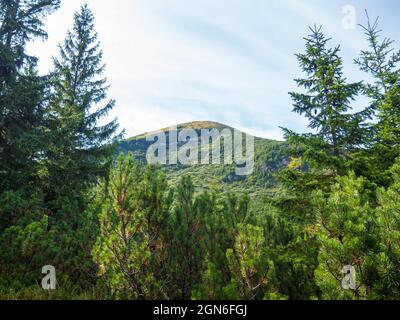 Berg Hoverla in den Karpaten in der Ukraine Stockfoto