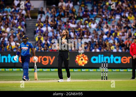 MELBOURNE, AUSTRALIEN - 01. NOVEMBER: Kane Richardson aus Australien beim Twenty20 International Cricket Match zwischen Australien und Sri Lanka auf dem Melbourne Cricket Ground am 01. November 2019 in Melbourne, Australien. Kredit: Dave Hewison/Alamy Live Nachrichten Stockfoto