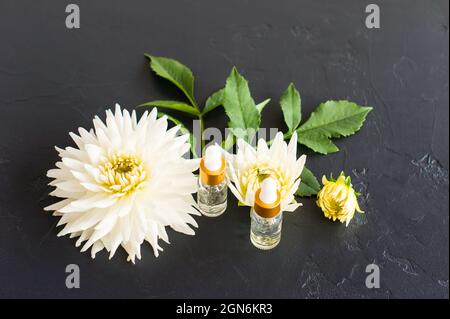 Zwei Kosmetikflaschen aus transparentem Glas mit Healthcronic-Säure auf schwarzem Hintergrund mit weißen Blüten. Das Konzept von Schönheit und Hautpflege Stockfoto