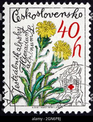 TSCHECHOSLOWAKEI - UM 1979: Eine in der Tschechoslowakei gedruckte Marke zeigt Hawkweed, Hieracium Alpinum, Mountain Flower, um 1979 Stockfoto