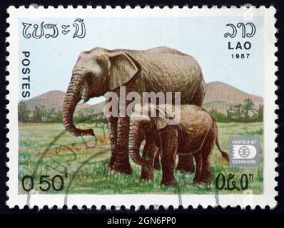 LAOS - UM 1985: Eine in Laos gedruckte Briefmarke zeigt indischen Elefanten, Erwachsenen und Kalb, um 1985 Stockfoto