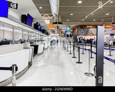 Tokio, Japan - 24. November 2019: Deckregistrierung auf dem Haneda Tokyo International Airport Stockfoto