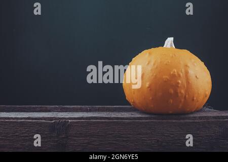 Großer Kürbis auf einem hölzernen Hintergrund. Platz für Text. Halloween, rustikal Stockfoto