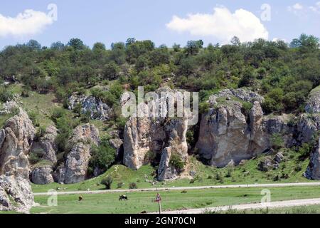 Eine wunderschöne Landschaft des Dobruja-Plateaus, dem ältesten Gebirge Rumäniens, im östlichen Teil des Landes, in der Nähe des Schwarzen See. Stockfoto